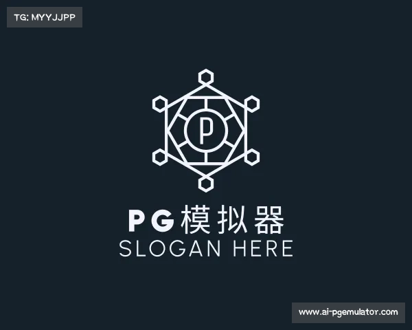 了解pg模拟器